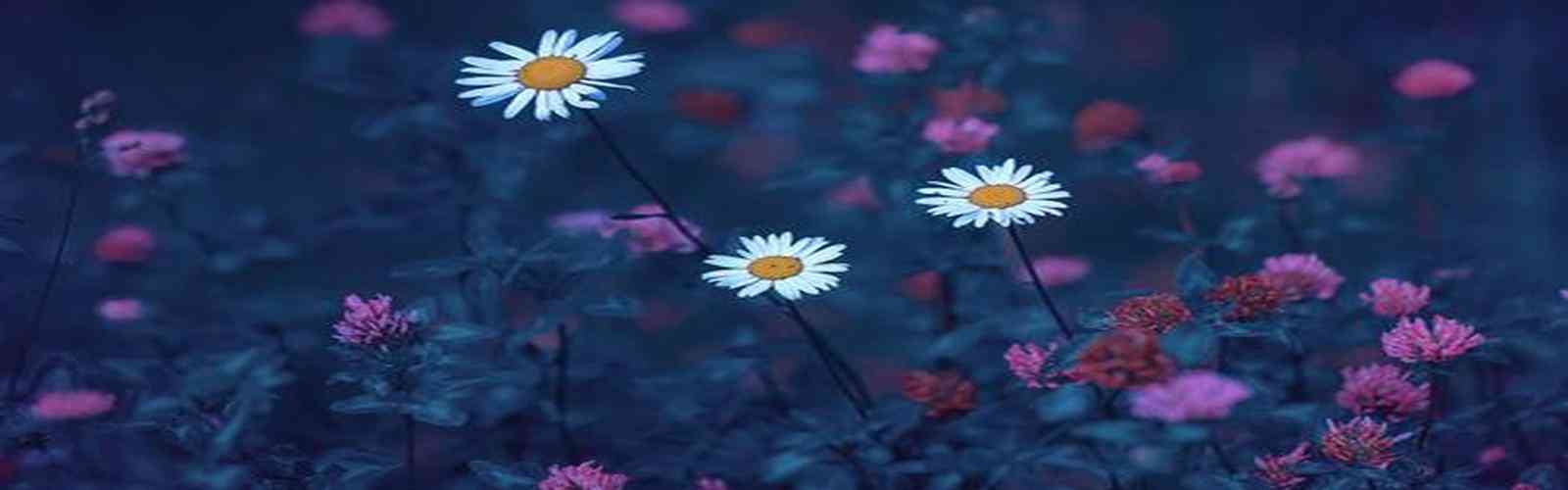 J9国际站官网入口